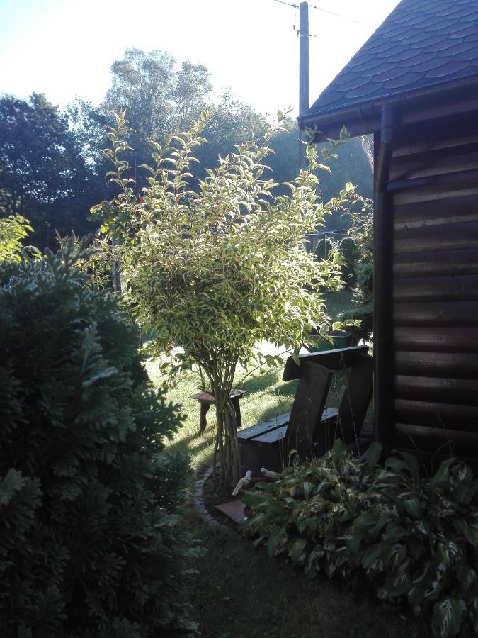 Apartament Leszczynowa 7 Blisko Zatora Spytkowice  Luaran gambar